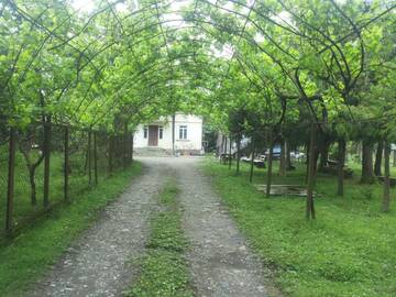 Фотографии Гостевой дом Guesthouse Achi г. Батуми (Грузия) №1 Фото Гостевой дом Guesthouse Achi г. Батуми 1