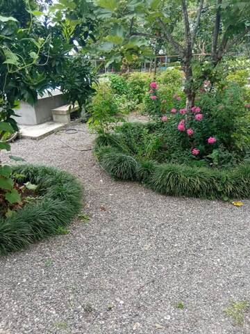 Фотографии Гостевой дом Seaside Gardenea г. Батуми (Грузия) №4 Фото Гостевой дом Seaside Gardenea г. Батуми 4