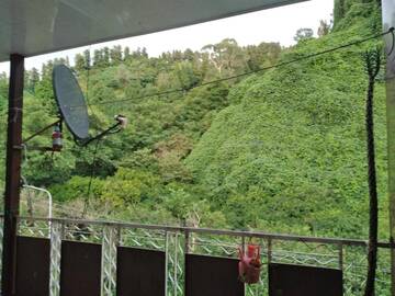 Фотографии Проживание в семье GUESTHOUSE г. Батуми (Грузия) №2 Фото Проживание в семье GUESTHOUSE г. Батуми 2