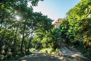 Фотографии Отели типа «постель и завтрак» Hotel in Nature/Отель в природе г. Батуми (Грузия) №3 Фото Отели типа «постель и завтрак» Hotel in Nature/Отель в природе г. Батуми 3