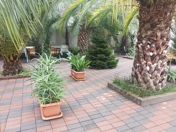 Фото Гостевой дом Guesthouse 97 in Batumi г. Батуми 3