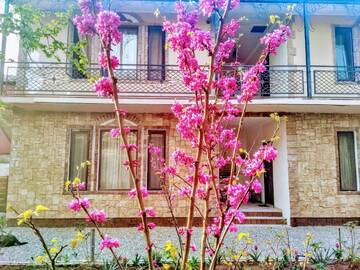 Фото номера Улучшенный семейный номер Гостевой дом Batumi Wonderland Guest House г. Батуми 12