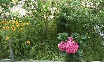 Фото номера Стандартный двухместный номер с 1 кроватью Гостевой дом Batumi Wonderland Guest House г. Батуми 65