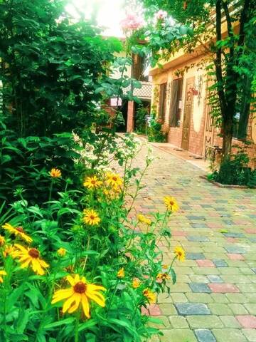 Фото номера Стандартный двухместный номер с 1 кроватью Гостевой дом Batumi Wonderland Guest House г. Батуми 41