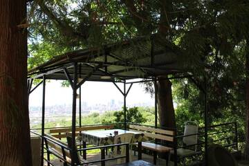 Фото номера Трехместный номер Гостевой дом Holiday Home Data г. Батуми 40