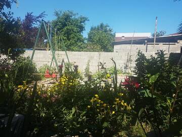 Фото Гостевой дом Guest House Luka г. Батуми 5