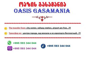 Фото номера Апартаменты Делюкс Курортные отели Oasis GASAMANIA г. Батуми 71