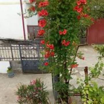Фото номера Люкс Гостевой дом Guest House Quiet Home г. Батуми 24