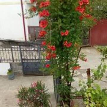 Фото номера Люкс Гостевой дом Guest House Quiet Home г. Батуми 10