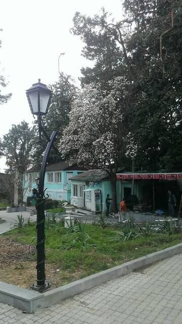 Фото номера Дом с 2 спальнями Дома для отпуска House on Magnolii 1 г. Батуми 33