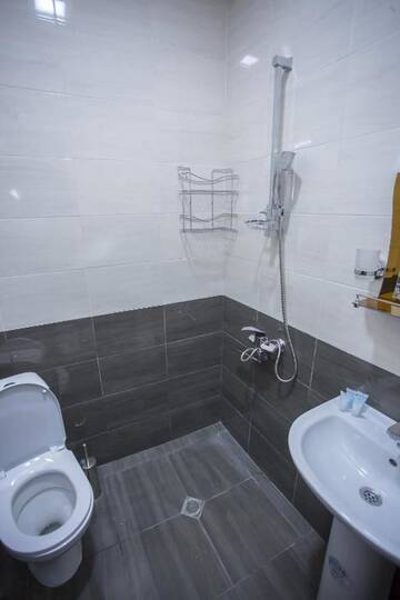 Фото номера Небольшой двухместный номер с 1 кроватью Отель Hotel Garanti г. Батуми 4
