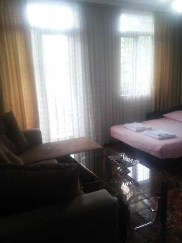 Фото номера Номер-студио (для 2 взрослых) Гостевой дом Guesthouse Gorgasali 55 г. Батуми 42