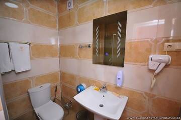 Фото номера Двухместный номер Делюкс с 1 кроватью Отель Black Sea Star Batumi г. Батуми 12