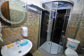Фото номера Стандартный двухместный номер с 1 кроватью Отель Black Sea Star Batumi г. Батуми 7