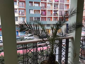 Фото номера Суперлюкс Гостевой дом Guesthouse Parnavaz Mepe г. Батуми 5