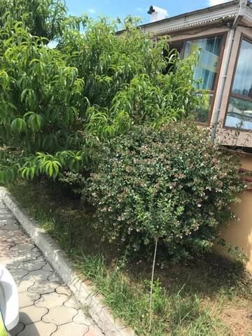 Фото номера Дом с 2 спальнями Отель Hotel Buta г. Батуми 34