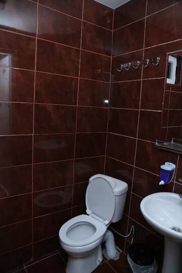 Фото номера Люкс с 1 спальней Гостевой дом Guesthouse in Batumi г. Батуми 23