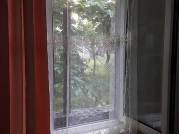 Фото номера Двухместный номер с 2 отдельными кроватями Гостевой дом Guesthouse in Batumi г. Батуми 5