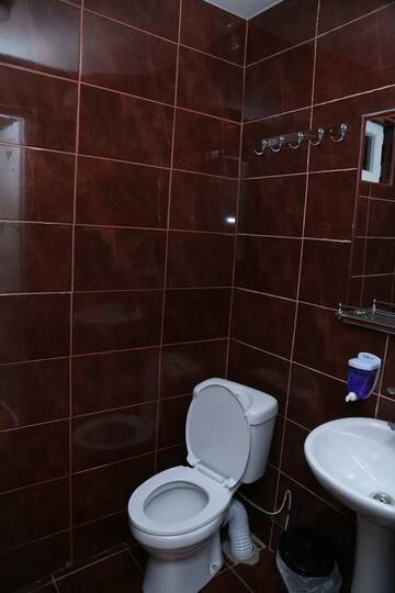 Фото номера Люкс с 1 спальней Гостевой дом Guesthouse in Batumi г. Батуми 8