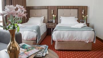 Фото номера Стандартный двухместный номер с 2 отдельными кроватями Отель Legend Business Hotel Batumi г. Батуми 4