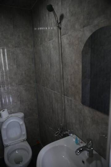 Фото номера Двухместный номер Делюкс с 1 кроватью Гостевой дом New Batumi г. Батуми 26