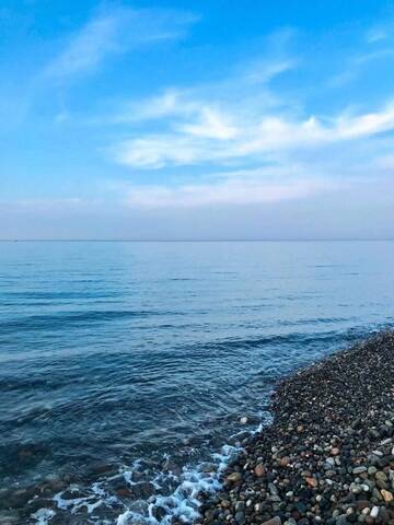 Фото номера Номер-студио с видом на море Апарт-отели Orbi sea towers г. Батуми 4