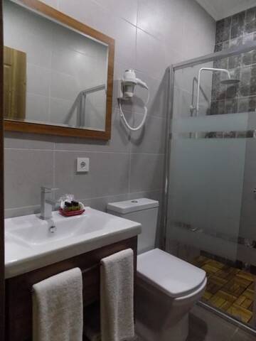 Фото номера Стандартный двухместный номер с 1 кроватью Гостевой дом palm hotel г. Батуми 17