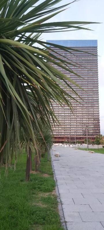 Фото номера Номер-студио Делюкс с кроватью размера &quot;king-size&quot; Апарт-отели BATUMI BEACH TOWER SEA FRONT APARTHOTEL г. Батуми 22