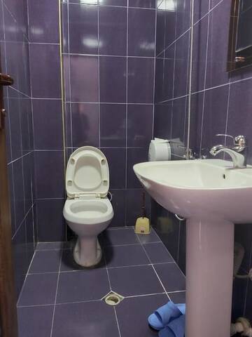 Фото номера Двухместный номер с 1 кроватью Отель HOTEL ALEX г. Батуми 27
