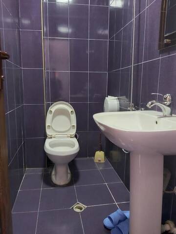 Фото номера Двухместный номер с 1 кроватью Отель HOTEL ALEX г. Батуми 13